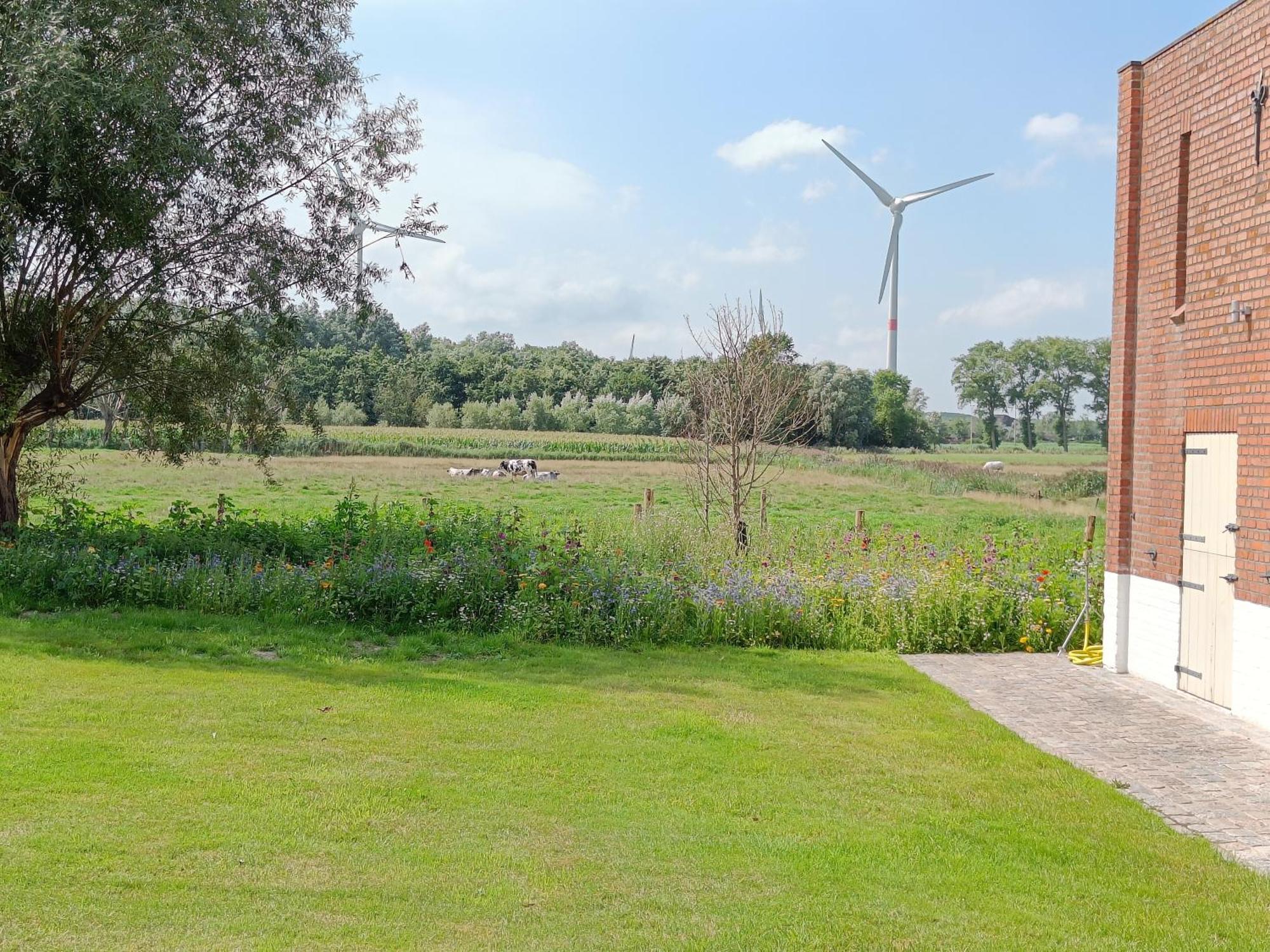 Beautiful 3-Bedroom - 3-Bathroom Appartment Pendula Bruges Extérieur photo
